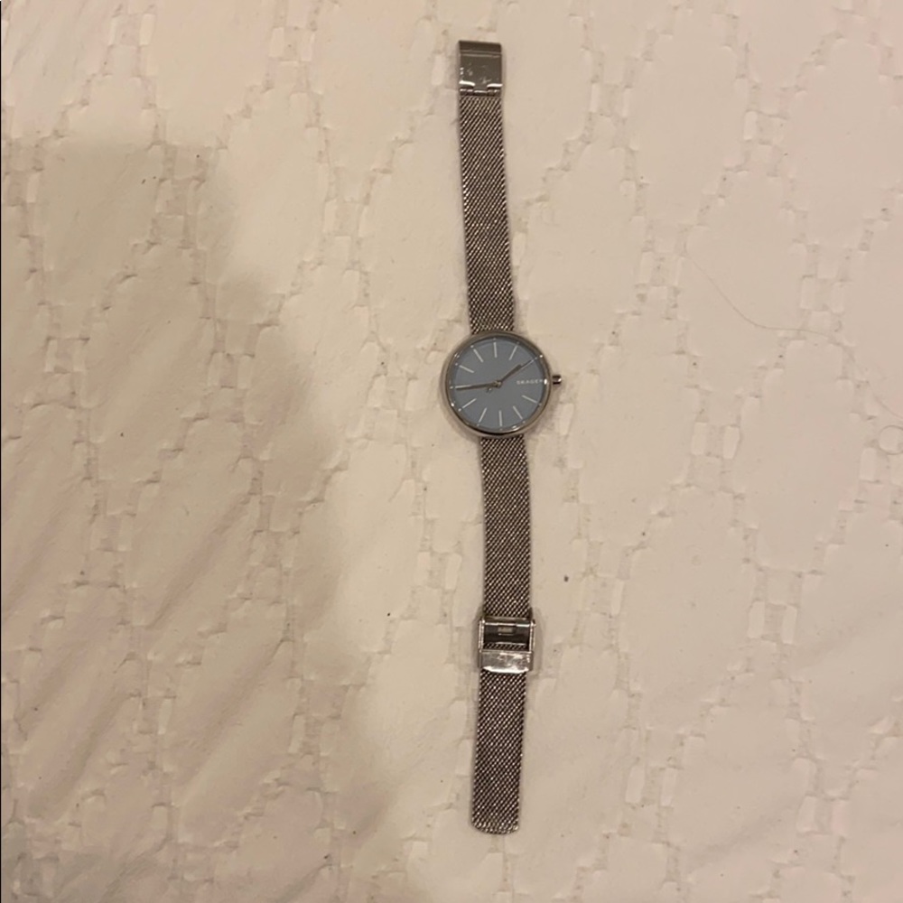 Skagen watch